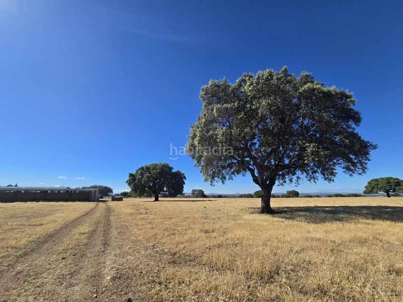 Foto ecc3d6fb-8f07-40d8-8e20-abaa3e41e70b. Finca rústica a calle hernán cortés 20 a Jaraicejo