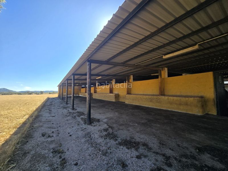 Foto f0e9df55-6997-435e-8919-80d986aba73d. Finca rústica a calle hernán cortés 20 a Jaraicejo