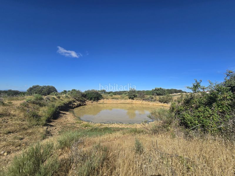 Foto f4a954c3-1c70-4c35-a8a7-c646c0a59df4. Finca rústica a calle hernán cortés 20 a Jaraicejo