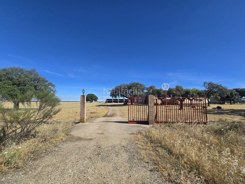 Foto fc18905b-f7f2-42a2-993d-79803f091189. Finca rústica a calle hernán cortés 20 a Jaraicejo