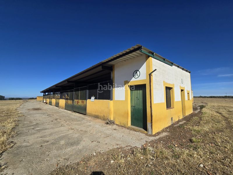 Foto fc453454-003e-4bde-96af-87e315609b5d. Finca rústica a calle hernán cortés 20 a Jaraicejo