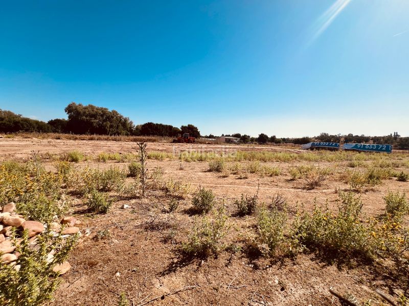 Foto 39efb0d3-c3b8-43b8-8c24-3e80d72ee4e4. Finca rústica a n/a a Valdetorres de Jarama