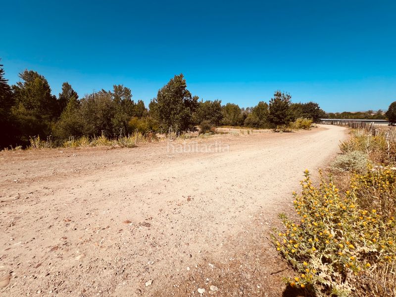 Foto 475b53e3-6306-4671-81b8-9a55a9324fc7. Finca rústica a n/a a Valdetorres de Jarama