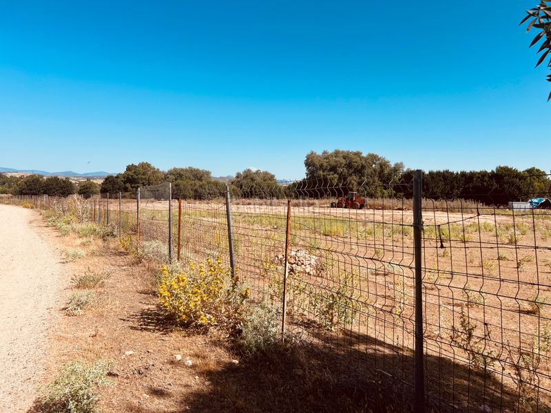 Foto 85f80bde-09c1-4b73-a9a5-c4ddae26a804. Finca rústica a n/a a Valdetorres de Jarama