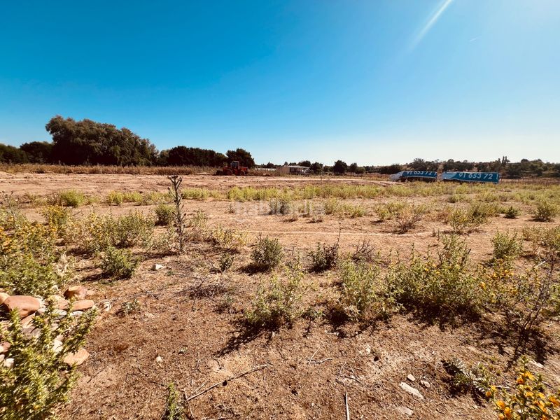 Foto a4ea4da0-8e13-4cd9-8582-09c09bca0adb. Finca rústica a n/a a Valdetorres de Jarama