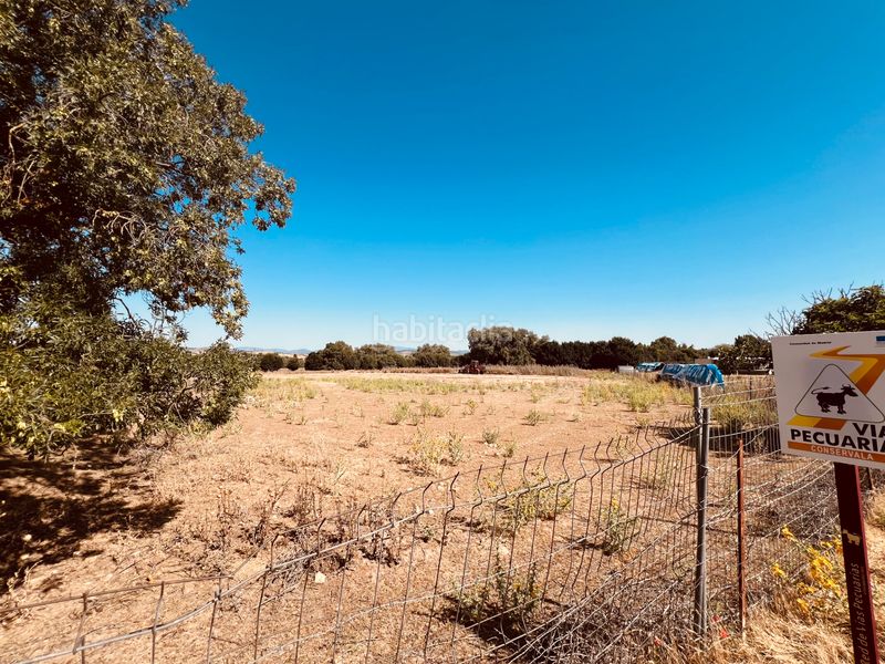 Foto c17a3c28-4c8b-47d6-a3ce-ceac5ccce402. Finca rústica a n/a a Valdetorres de Jarama