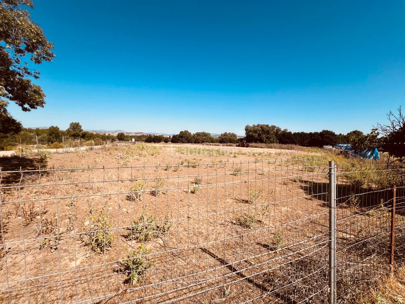 Foto f04e2b79-a46d-4b82-b6de-b7e99e869a7f. Finca rústica a n/a a Valdetorres de Jarama