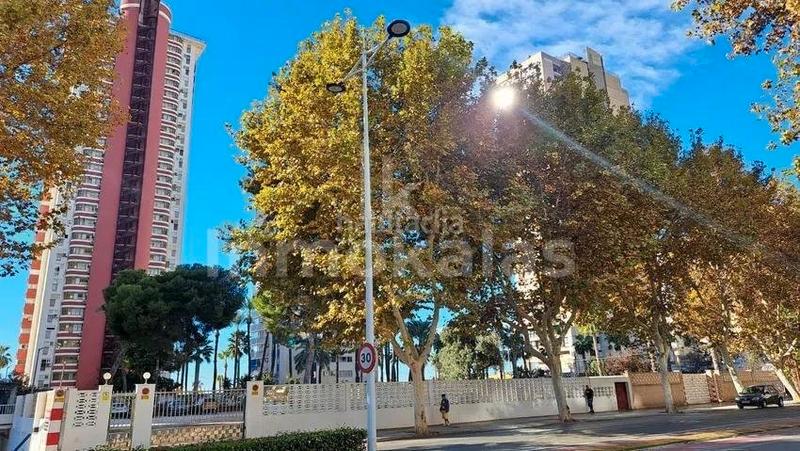 Foto 8f966c78-ee83-4add-b53e-4917f56066f5. Apartament amb aparcament piscina a Playa Levante Benidorm