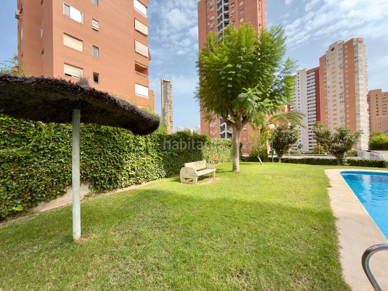 Foto 12c4bde5-ad84-47a7-9d84-7d0cd77e0001. Piccolo appartamento in Juzgados - Plaza de Toros Benidorm