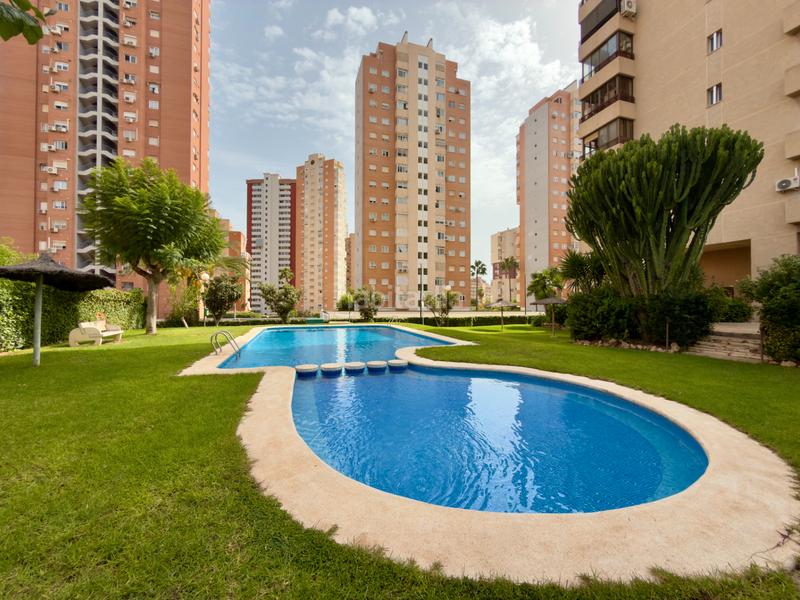 Foto 3db319b2-9986-4f56-a82a-a8484776618d. Piccolo appartamento in Juzgados - Plaza de Toros Benidorm