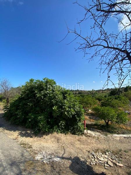 Foto 7a35892d-701c-429b-8303-3effcd42328d. Masía en Altea ciudad Altea