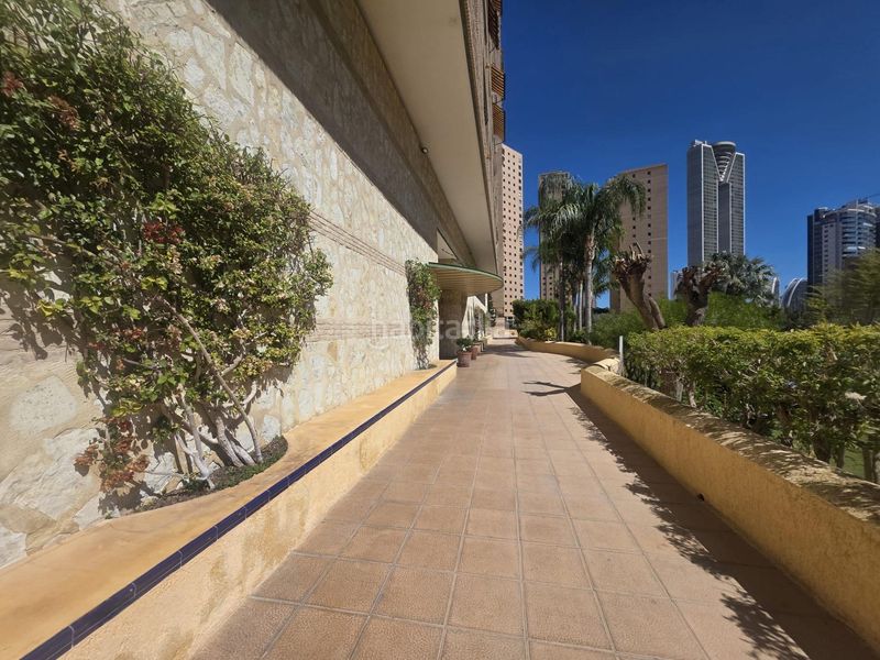 Foto 147895c0-cdef-4e82-a38d-4c73223e85fa. Pis amb piscina a Playa Poniente Benidorm