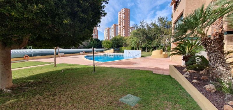 Foto a44d02db-db51-469e-a4c4-dad24a8130f3. Pis amb aparcament piscina a Juzgados - Plaza de Toros Benidorm