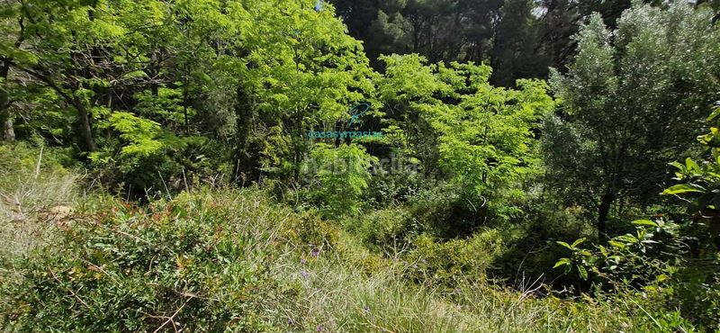 Foto a7649135-d654-44a5-87ca-54baa5617e42. Masia a Montmell (El)