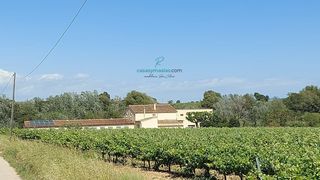 Bauernhof in Vilobí del Penedès. Masía catalana con carácter entre viñedos,