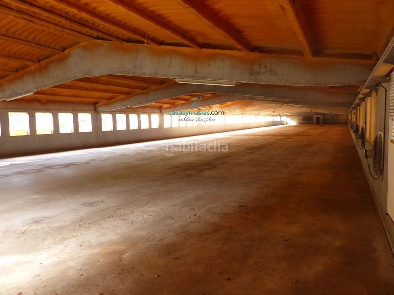 Foto 3265e2bb-3f73-44d4-a30c-66496bab1406. Masia amb calefacció a Vilobí del Penedès