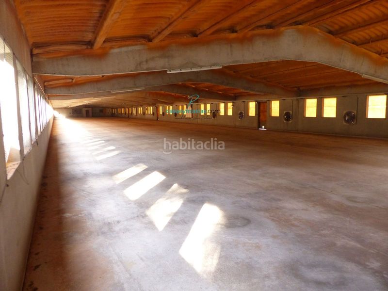 Foto 366bed8b-74c7-4b69-99d2-aedb92a7b38f. Masia amb calefacció a Vilobí del Penedès