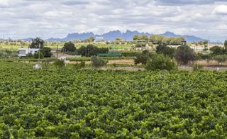 Terreno residenziale in Avinyonet del Penedès. Parcela urbana de aproximadamente 600 m en vilobí del penedès, i