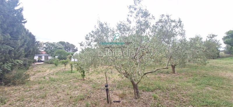 Foto ba2ab022-c0df-42b6-926c-9cf8ba702c30. Masia amb calefacció aparcament a Alió