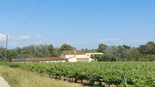 Mas à Vilobí del Penedès. Masia centenaria a 5 km de vilafranca con viñedos y nave de 1100
