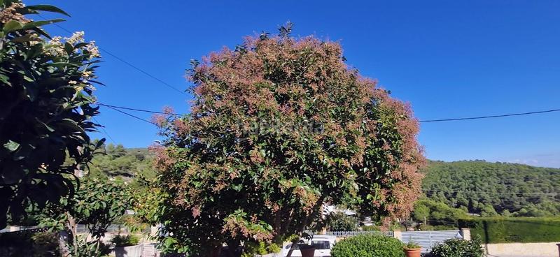 Foto b0a28d9c-f5bb-45f5-8948-5968338aa7d7. Chalet con riscaldamento parcheggio in Font-rubí