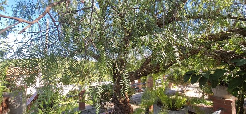 Foto e09368ea-8001-4f5f-b14d-ef637abeecc9. Chalet con riscaldamento parcheggio in Font-rubí