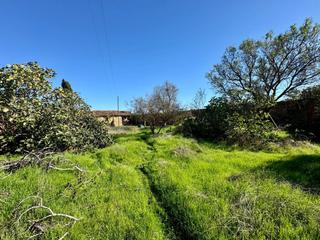 Terreny residencial  Autilla del pino - cl san anton. Parcela en autilla del pino