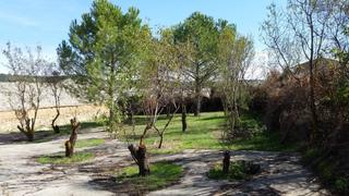 Reihenhaus  Valdecañas de cerrato - cl mayor           valdecañas. 127881127969 oportunidad única! casa rural con encanto  2508239m
