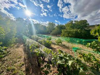 Terreny residencial  Grijota - urbanizaciion el hito. Solar en urbanizacin en grijota, palencia