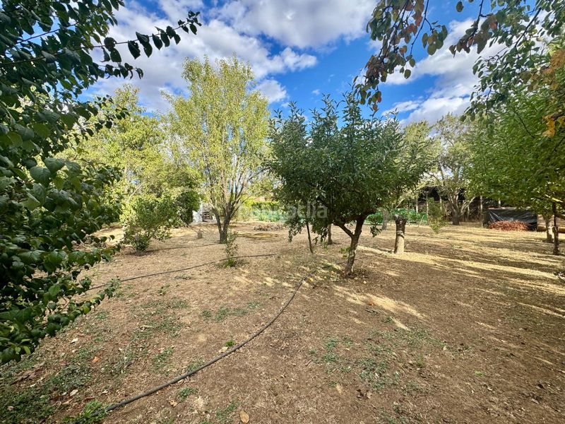 Foto 8c69e3f9-c21c-4737-8049-5ce1a1fb703a. Finca rústica a Grijota