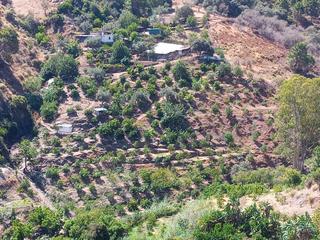 Finca rústica en Tolox