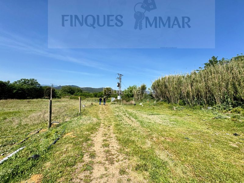 Foto 938508db-07b6-406f-b91b-523a70813f29. Propriété dans Riudarenes