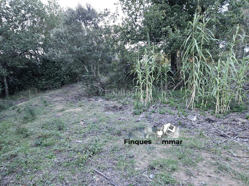 Foto 45d207ef-11dc-4419-b317-a7bd94409ced. Finca rústica a Sils