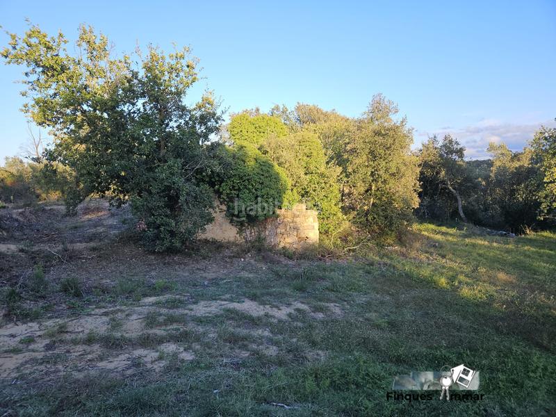 Foto edf9c3a7-06a0-4d89-ba9e-942ed0ffa750. Finca rústica a Sils