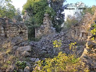 Fondo rustico  Carrer riudarenes. Excelente oportunidad finca rstica de 3 hectreas con masa par