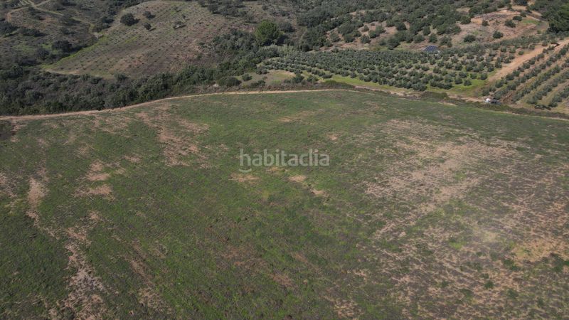 Foto 3e10a4ff-aaae-466d-bd91-f87845d99360. Finca rústica a Alcolea del Río
