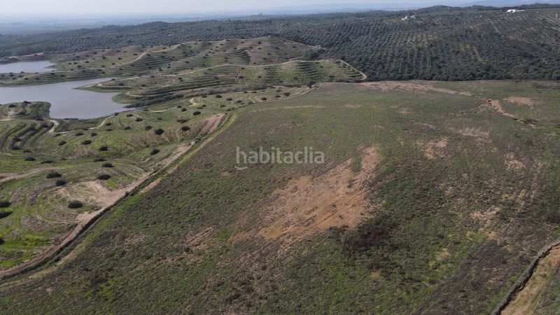 Foto e09f9cb4-0793-49dd-ad50-f9ebd8d4d65f. Finca rústica a Alcolea del Río