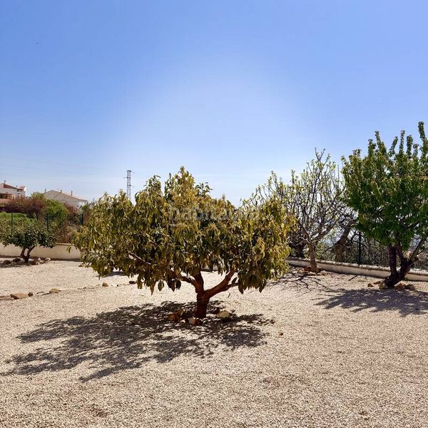 Foto 330143fe-b999-44c5-b25b-f0c17f5eff05. Pis a calle las monjas 70 a Periana