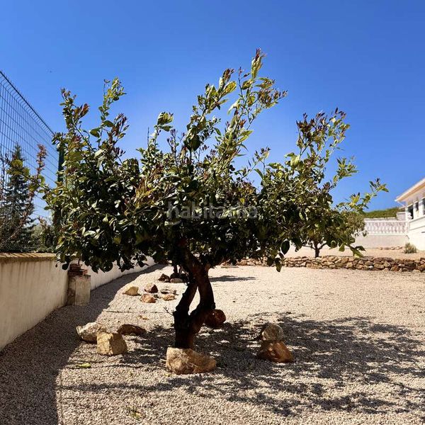 Foto a9af6d52-2b68-4a8b-a2f5-b314b801f84a. Pis a calle las monjas 70 a Periana