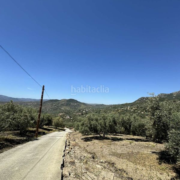Foto bde2d0ef-b588-40ed-9b69-42d82d887904. Finca rústica a Periana
