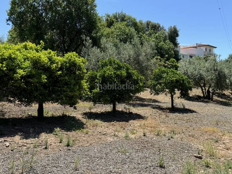 Foto 5f15fca8-6ebd-4d19-abef-1c0cee35826d. Finca rústica en calle puente don manuel 2 en Alcaucín