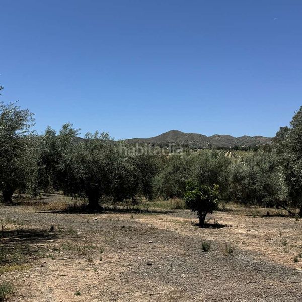 Foto 8b85e357-5866-4d3c-b07b-bc4a4715dea3. Finca rústica en calle puente don manuel 2 en Alcaucín