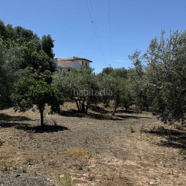 Foto add59d54-8eb8-47ed-8773-6a499b78cbb8. Finca rústica en calle puente don manuel 2 en Alcaucín