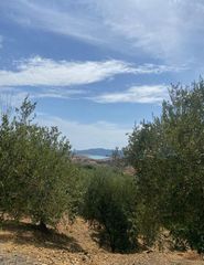 Rural plot in Periana