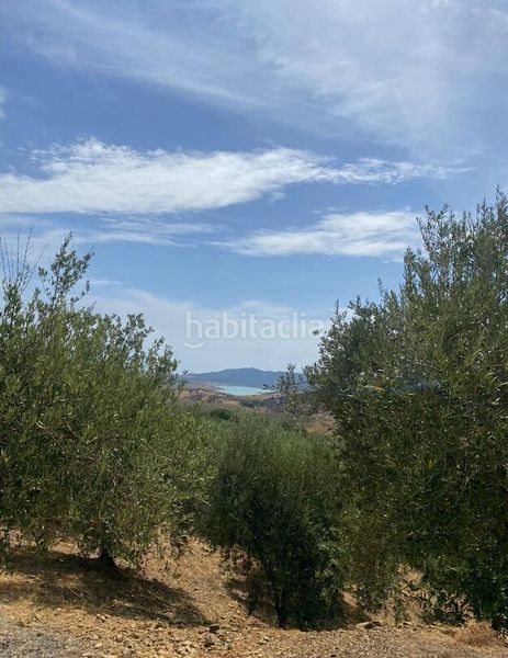 Foto a46774c2-96b0-4ab5-a990-7417e8d2b339. Finca rústica en Periana