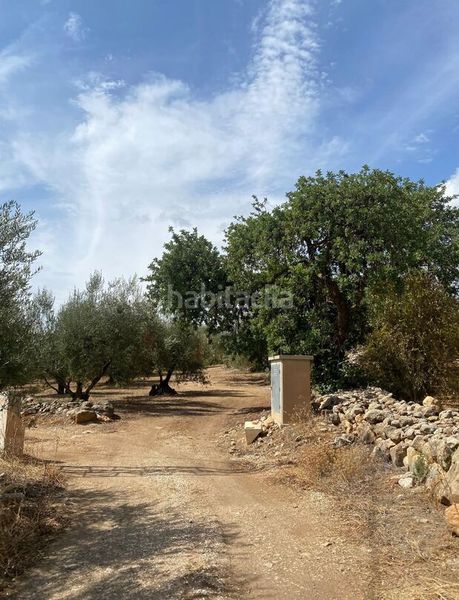 Foto cb024068-3420-4fee-9523-339faf7acfcf. Finca rústica en Periana
