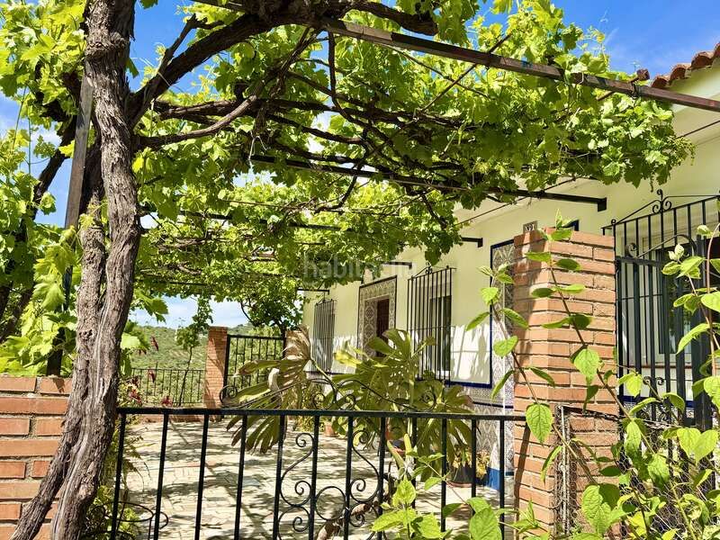 Foto 0f7caeca-ab69-42cc-ae34-f21b288d6abb. House in ma-4102 1 in Alfarnatejo