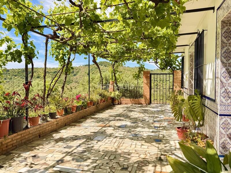 Foto d9c9e8ab-8476-426b-90b1-0506c253893a. House in ma-4102 1 in Alfarnatejo