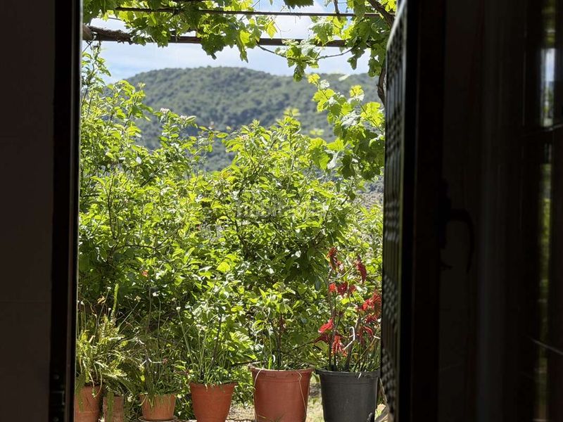 Foto fe6f9329-aeba-4192-aec5-b80e7f29c5ff. House in ma-4102 1 in Alfarnatejo