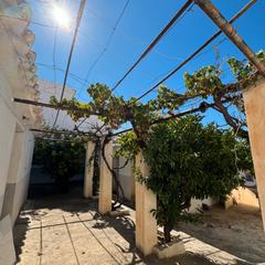 Masia a Calle federico garcía lorca 1. Casa de pueblo a reformar y gran corral